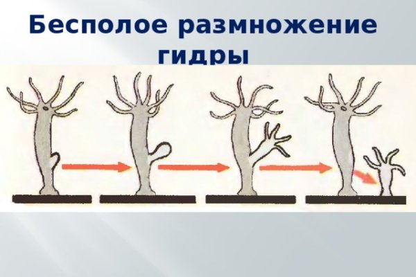 Кракен как зарегистрироваться