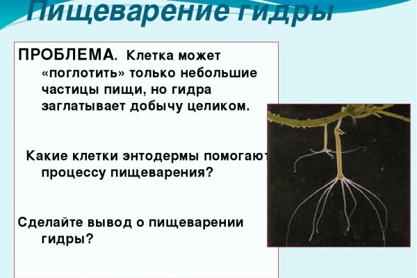 Как зайти на кракен даркнет