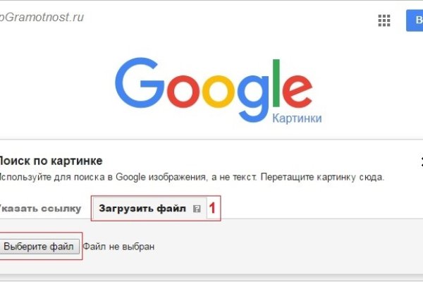 Какая сейчас ссылка на кракен