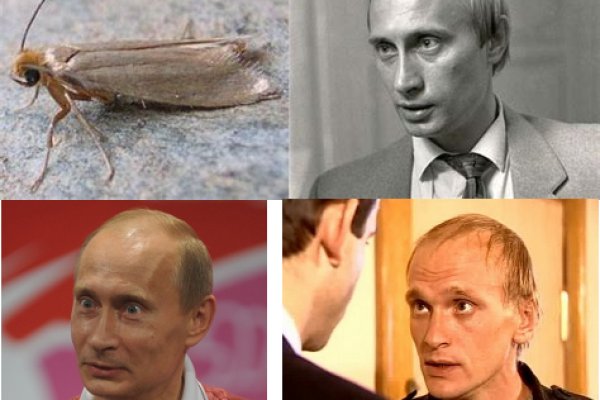 Кракен 12 сайт