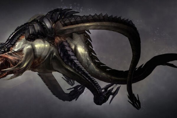 Kraken что это за магазин