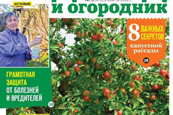 Кракен магазин ссылка