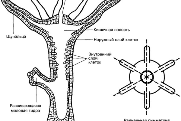 Кракен портал