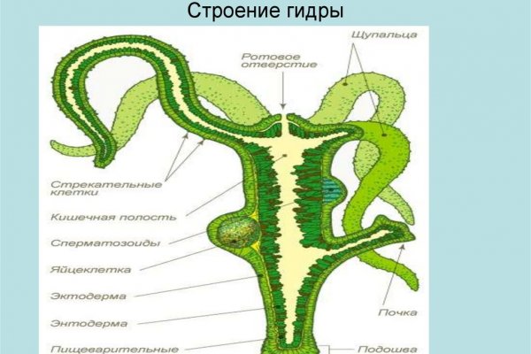 Solaris даркнет